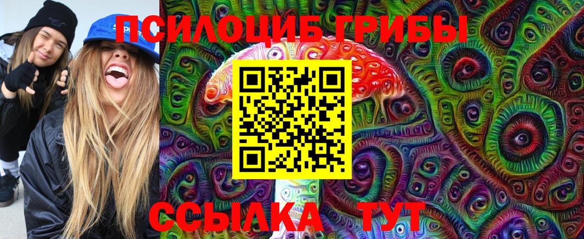 Псилоцибиновые грибы Cubensis  Вход с VPN  Псилоцибиновые грибы мицелий  Кушва 