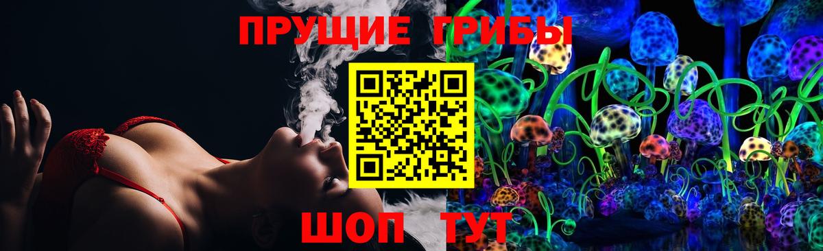Галлюциногенные грибы Psilocybe Кушва